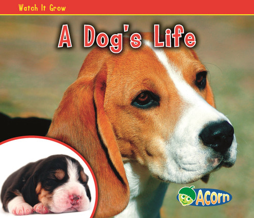 A Dog's Life - 9781432942328 by Nancy Dickmann, 9781432942328