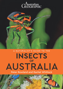 A Naturalist's Guide to Insects of Australia by Peter Rowland, Rachel Whitlock, 9781912081806