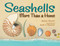 Seashells (More Than a Home) - 9781623541736 by Melissa Stewart, Sarah S. Brannen, 9781623541736