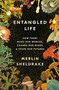 Entangled Life (How Fungi Make Our Worlds, Change Our Minds & Shape Our Futures) by Merlin Sheldrake, 9780525510314