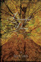 Beautiful Decay by Sylvia Lewis, 9780762446117