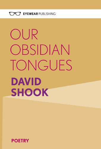 Our Obsidian Tongues by David Shook, 9781908998071