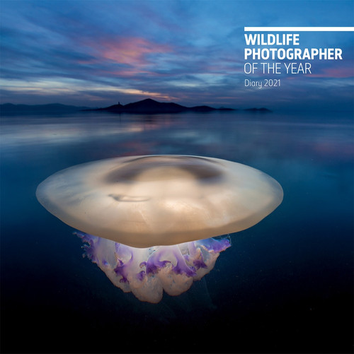 Wildlife Photographer of the Year Desk Diary 2021 by Natural History Museum, 9780565094904