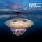 Wildlife Photographer of the Year Desk Diary 2021 by Natural History Museum, 9780565094904