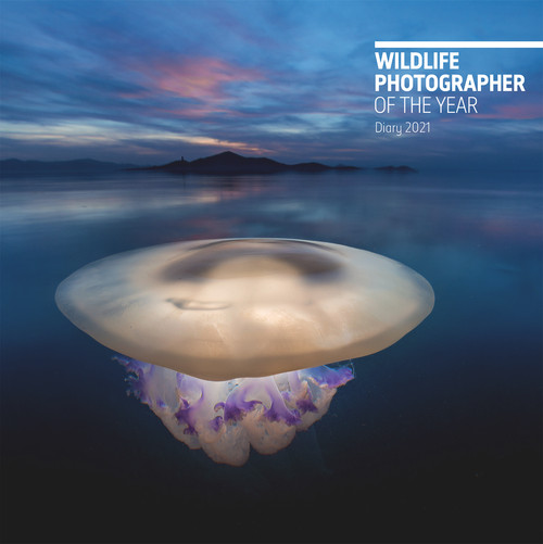 Wildlife Photographer of the Year Desk Diary 2021 by Natural History Museum, 9780565094904
