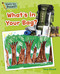 What's in Your Bag? by Capstone Classroom, Tony Stead, 9781496607546