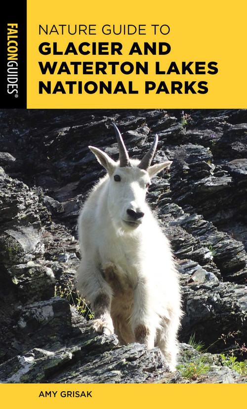Nature Guide to Glacier and Waterton Lakes National Parks by Amy Grisak, 9781493044672