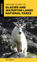 Nature Guide to Glacier and Waterton Lakes National Parks by Amy Grisak, 9781493044672