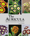Auricula: History, Cultivation and Varieties by Allan Guest, 9781870673624