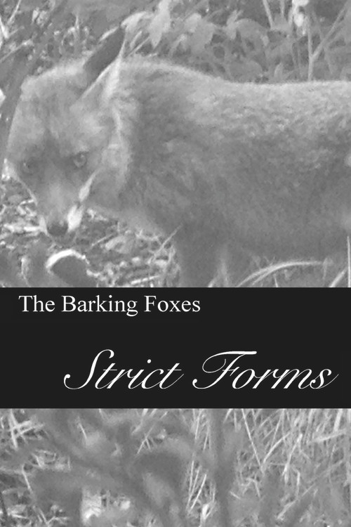 Strict Forms by The Barking Foxes, 9781789553666