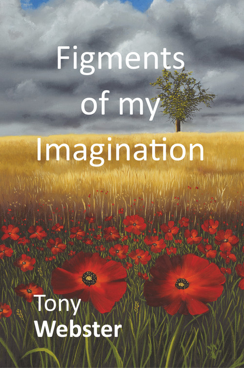 Figments of my Imagination by Tony Webster, 9781787197435