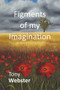 Figments of my Imagination by Tony Webster, 9781787197435