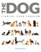 The Dog (Finding Your Forever) by David Alderton, 9780785838258