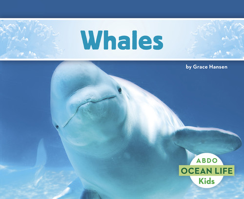 Whales - 9781496612571 by Grace Hansen, 9781496612571