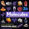 Molecules (The Elements and the Architecture of Everything) - 9781579129712 by Theodore Gray, Nick Mann, 9781579129712