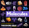 Molecules (The Elements and the Architecture of Everything, Book 2 of 3) - 9781579129712 by Theodore Gray, Nick Mann, 9781579129712
