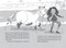 Pony on the Twelfth Floor by Polly Faber, Sarah Jennings, 9781536209303