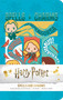 Harry Potter: Spells and Charms Ruled Pocket Journal (Miniature Edition) by Insight Editions, 9781683837695