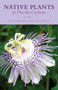 Native Plants for Florida Gardens by Stacey Matrazzo, Nancy Bissett, 9781493043781