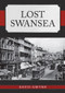 Lost Swansea by David Gwynn, 9781445693583