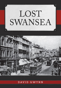 Lost Swansea by David Gwynn, 9781445693583