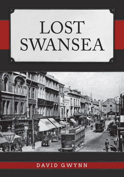 Lost Swansea by David Gwynn, 9781445693583