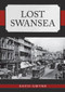 Lost Swansea by David Gwynn, 9781445693583