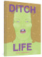 DITCH LIFE by Amy Lockhart, 9781683963035