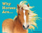 Why Horses Are by Tana Thompson, 9780989162418