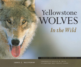 Yellowstone Wolves in the Wild by James C Halfpenny, 9781931832267
