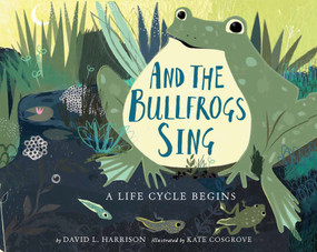 And the Bullfrogs Sing (A Life Cycle Begins) - 9780823446759 by David L. Harrison, Kate Cosgrove, 9780823446759