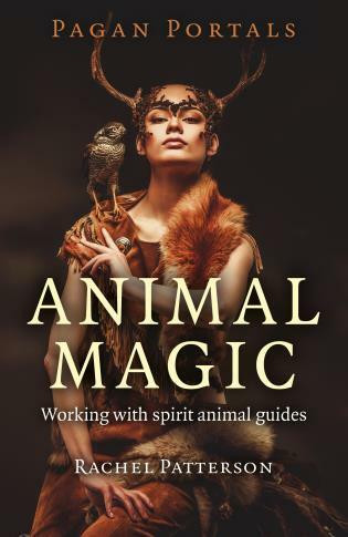 Pagan Portals - Animal Magic (Working With Spirit Animal Guides) by Rachel Patterson, 9781785354946