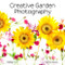 Creative Garden Photography (Making Great Photos of Flowers, Gardens, Landscapes, and the Beautiful World Around Us) by Harold Davis, 9781681985619