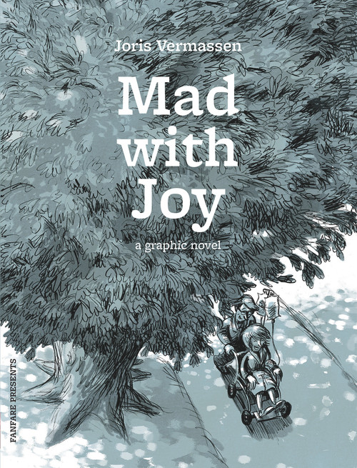 Mad with Joy (A Graphic Novel) by Joris Vermassen, 9780993211218