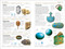 Gemstones by Cally Hall, 9780744020557