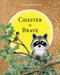 Chester the Brave by Audrey Penn, Barbara Gibson, 9781933718798