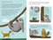 A Sloth's Guide to Etiquette (A laid-back approach to socially acceptable behavior) by Sarah Jackson, 9781912983216