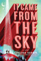 It Came from the Sky by Chelsea Sedoti, 9781492673026
