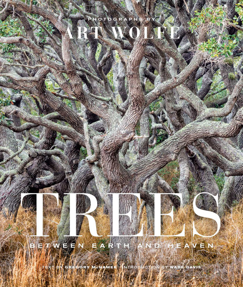 Trees (Gift Edition) (Between Earth and Heaven) by Art Wolfe, 9781683839262