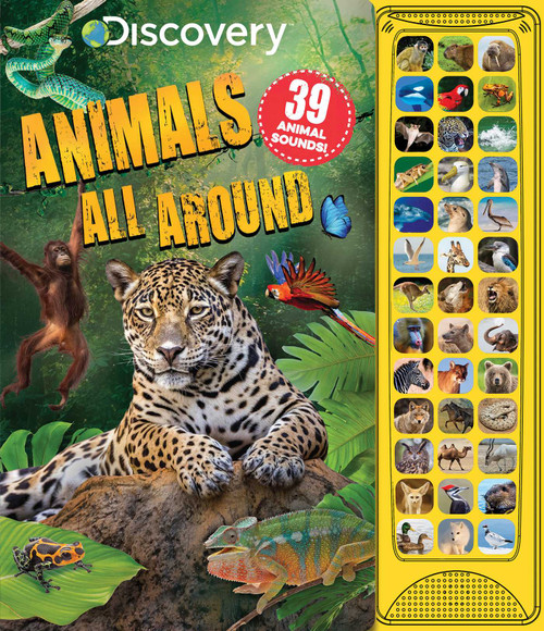 Discovery: Animals All Around by Courtney Acampora, 9781684129720