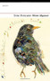 Winter Migrants by Tom Pickard, 9781784102647
