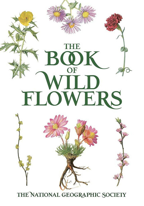 The Book of Wild Flowers (Color Plates of 250 Wild Flowers and Grasses) by The National Geographic Society, Mary E. Eaton, E. J. Geske, 9780486840949