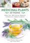 Medicinal Plants at Home (More Than 100 Natural Remedies for Healing Common Ailments) by María Tránsito López Luengo, Carlota Máñez, 9781510758285