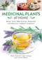 Medicinal Plants at Home (More Than 100 Natural Remedies for Healing Common Ailments) by María Tránsito López Luengo, Carlota Máñez, 9781510758285