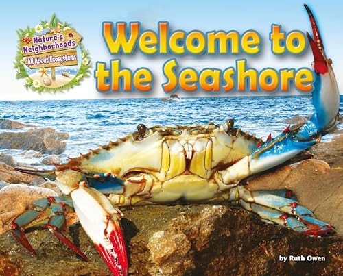 Welcome to the Seashore by Ruth Owen, 9781910549681