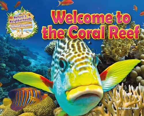 Welcome to the Coral Reef by Honor Head, 9781911341918