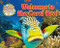 Welcome to the Coral Reef by Honor Head, 9781911341918
