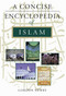 A Concise Encyclopedia of Islam by Gordon Newby, 9781851682959