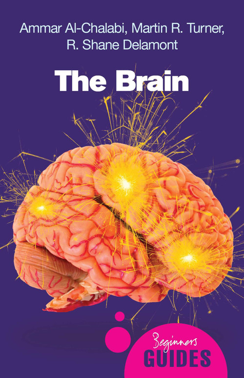 The Brain (A Beginner's Guide) by Ammar al-Chalabi, Martin Turner, R. Shane Delamont, 9781851685943