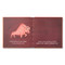 Tiger Days by M.H. Clark, 9781946873415